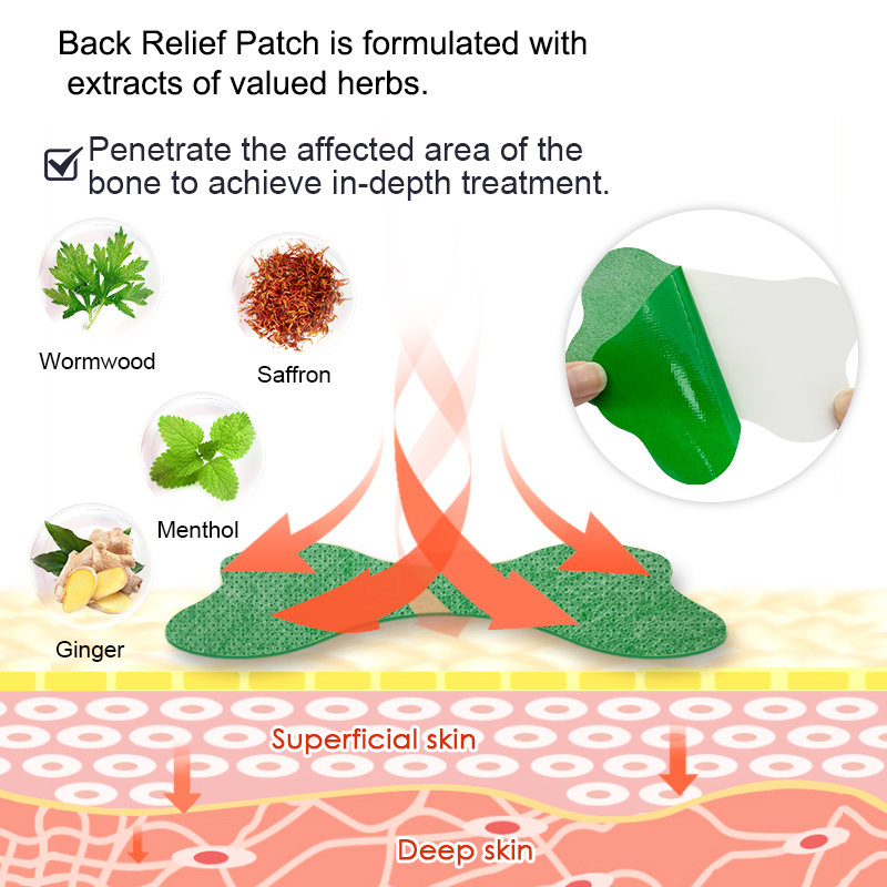 Patch anti-douleur lombaire, p - Herbal Wellness Patches avis et prix